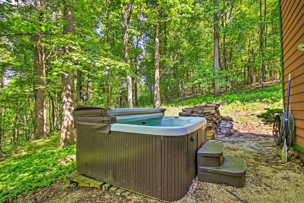Acme Bear'S Eye View - Mountain Retreat W/ Hot Tub!ヴィラ エクステリア 写真